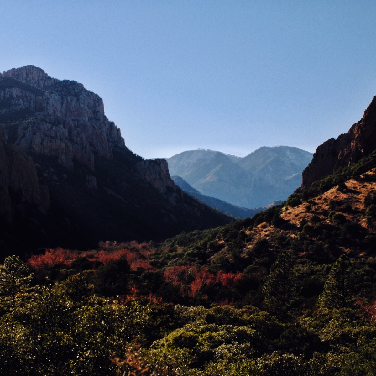 Cave Creek Canyon,&nbsp;AZ