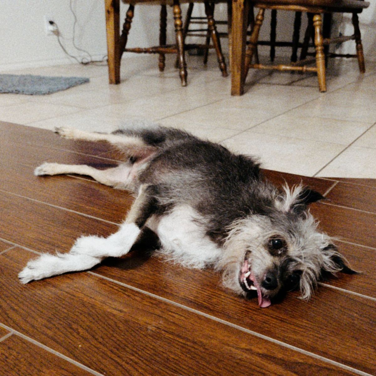 Almost too Hot to&nbsp;Walk